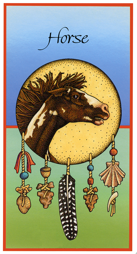 Medicine Cards The Discovery of Power Through the Ways of Animals